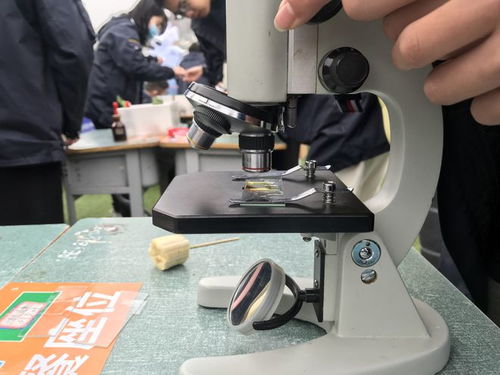 校園科技節腦力值拉滿，學生玩嗨了！教學模型與教具銷售迎來熱潮
